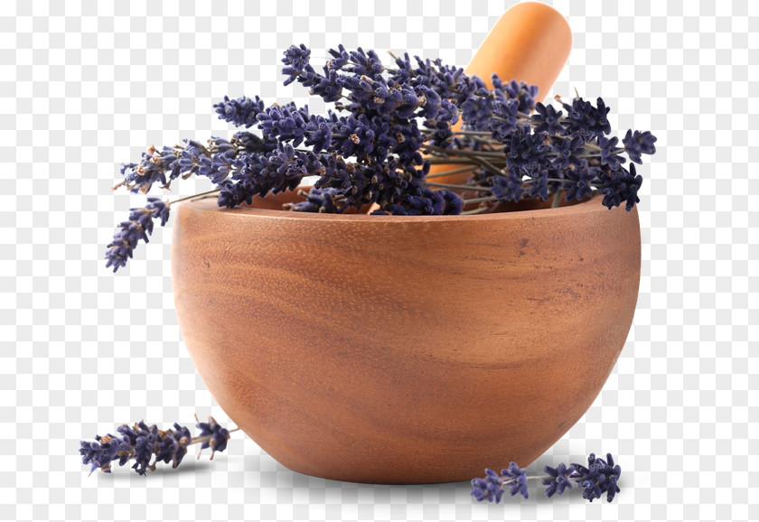 Lavender In A Bowl Essential Oil Herb Apothecary PNG