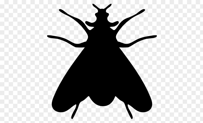 Silhouette Flies Insect Moth Icon PNG