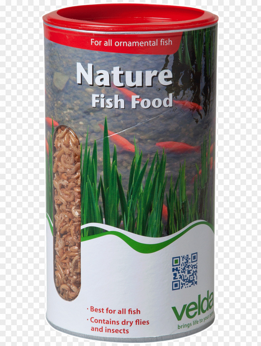 Fish Dishes Food Yassa Koi Fodder PNG