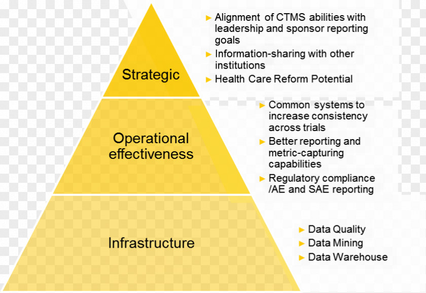 Triangle Business Intelligence Google Search My PNG