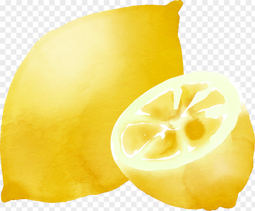 Vector Hand Painted Lemon Lemon-lime Drink Icon PNG