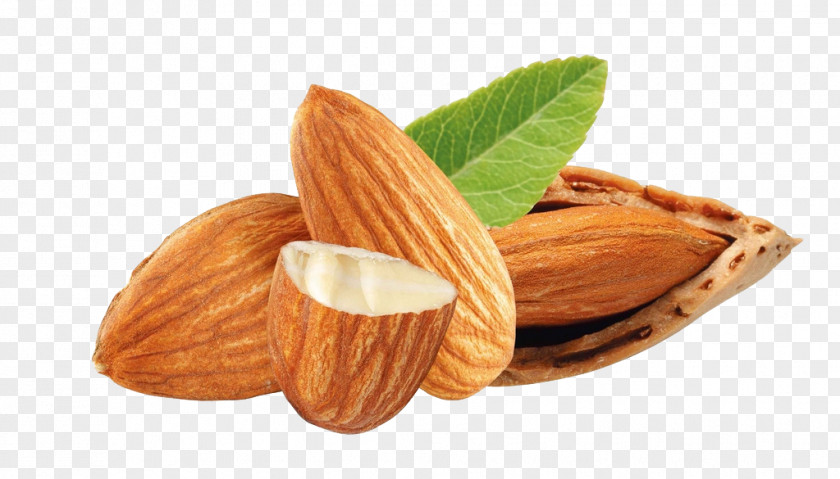Almond Nuts Dried Fruit PNG