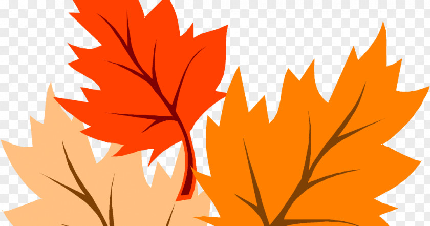 Autumn Clip Art Leaf Color Maple PNG