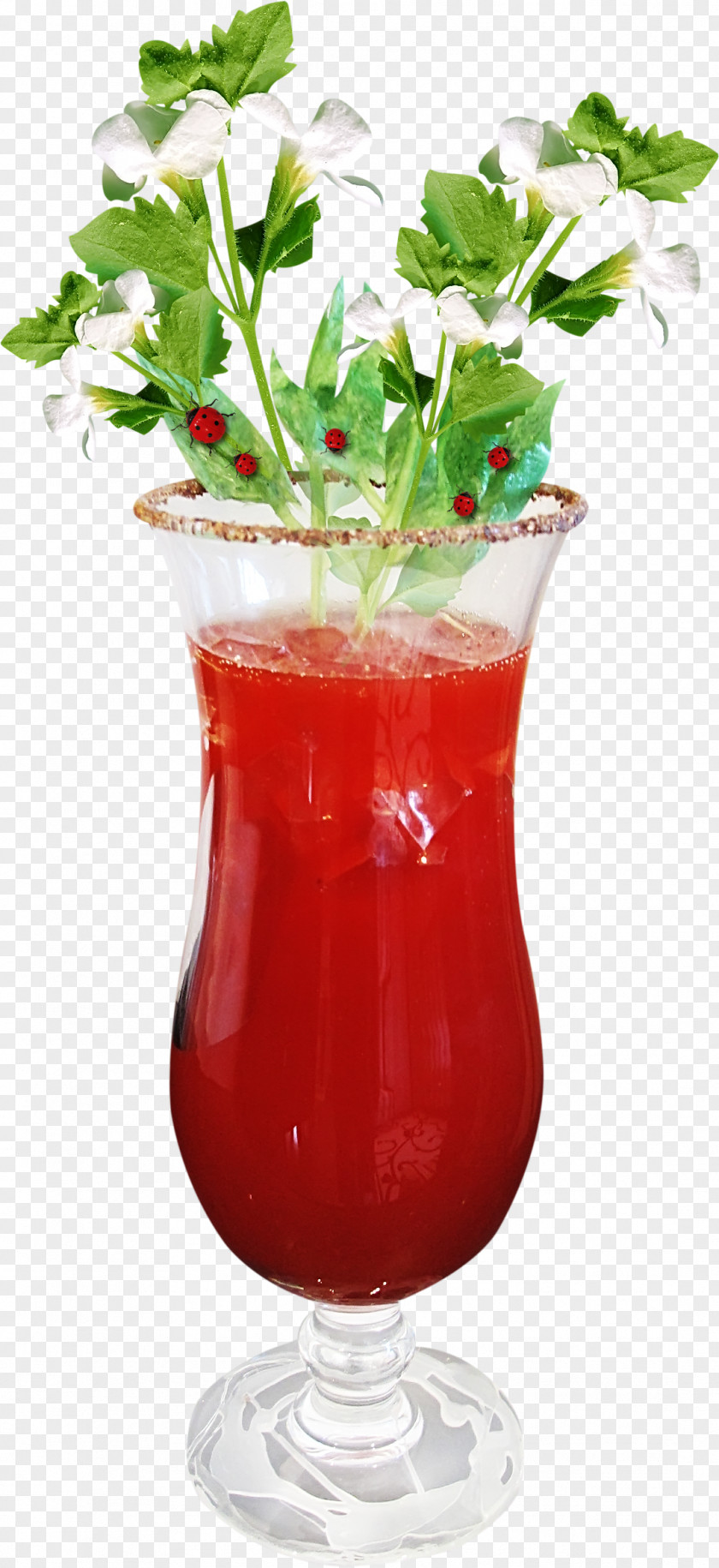 Cocktail Fruit Garnish Tomato Juice Bloody Mary Sea Breeze PNG