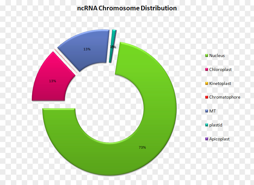 Copyright Long Non-coding RNA Supercomputing Facility For Bioinformatics And Computational Biology Gene PNG