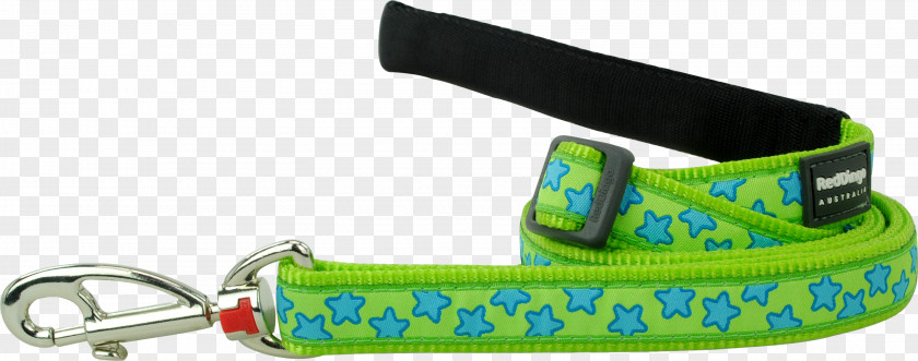 Dog Leash Collar Dingo PNG