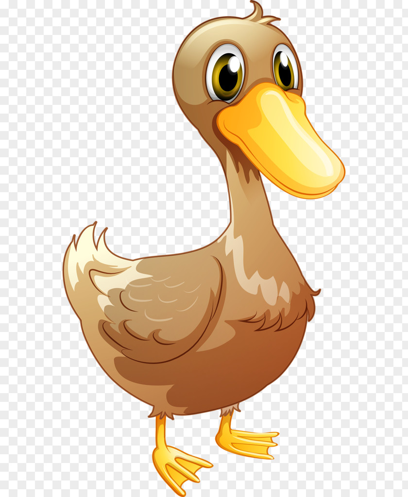 Duck Bird Vector Graphics Clip Art Illustration PNG