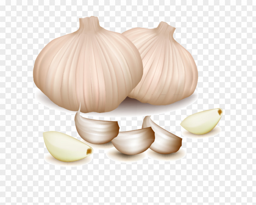 Garlic Vegetable Spice PNG