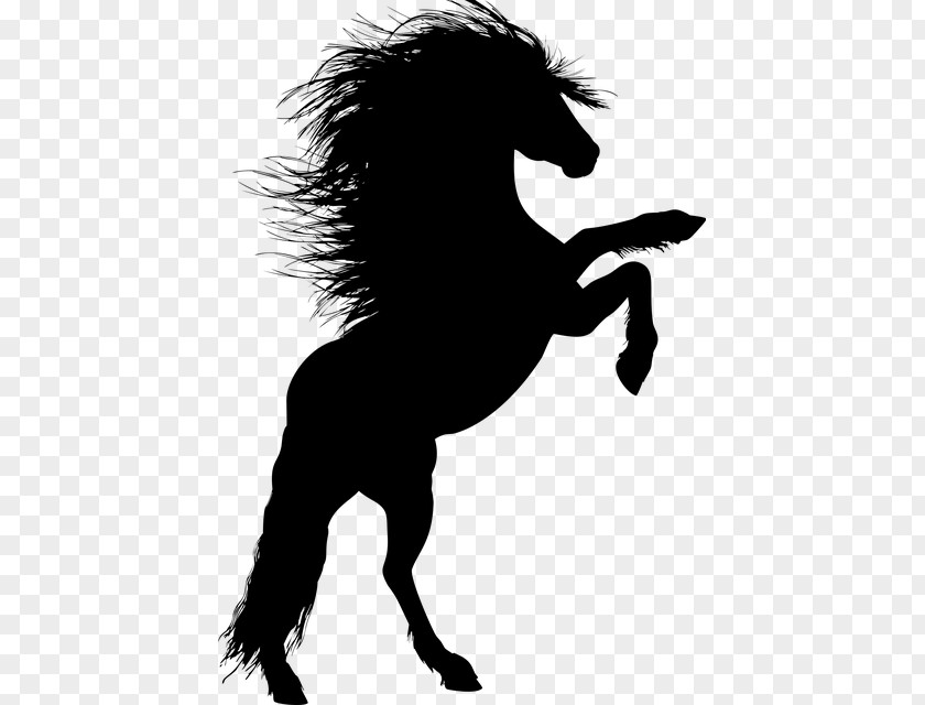Horse Stallion Rearing Silhouette Clip Art PNG