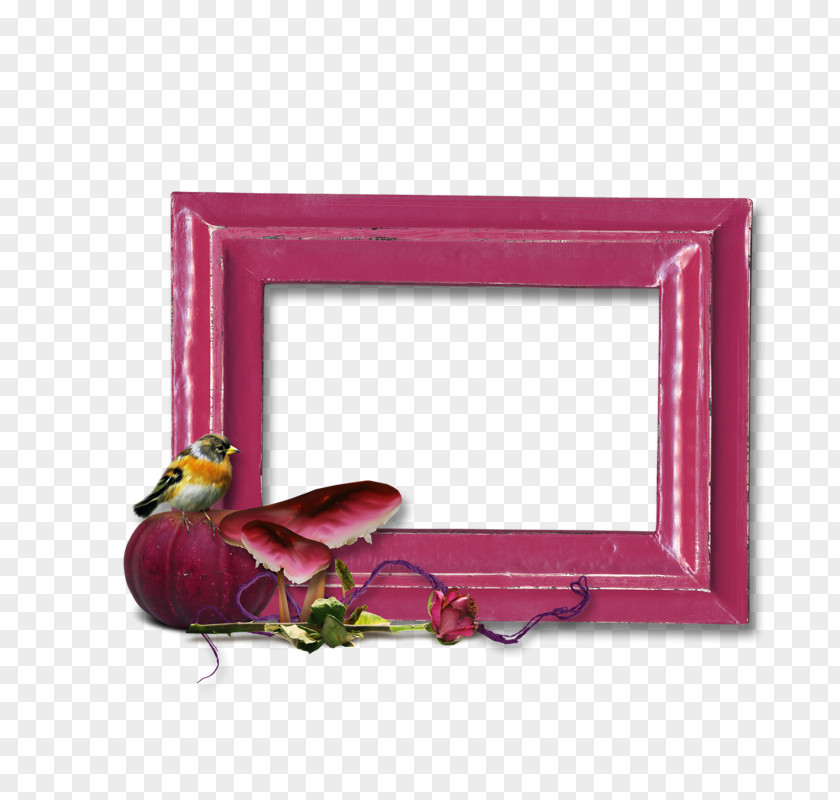 Picture Frames Rectangle PNG