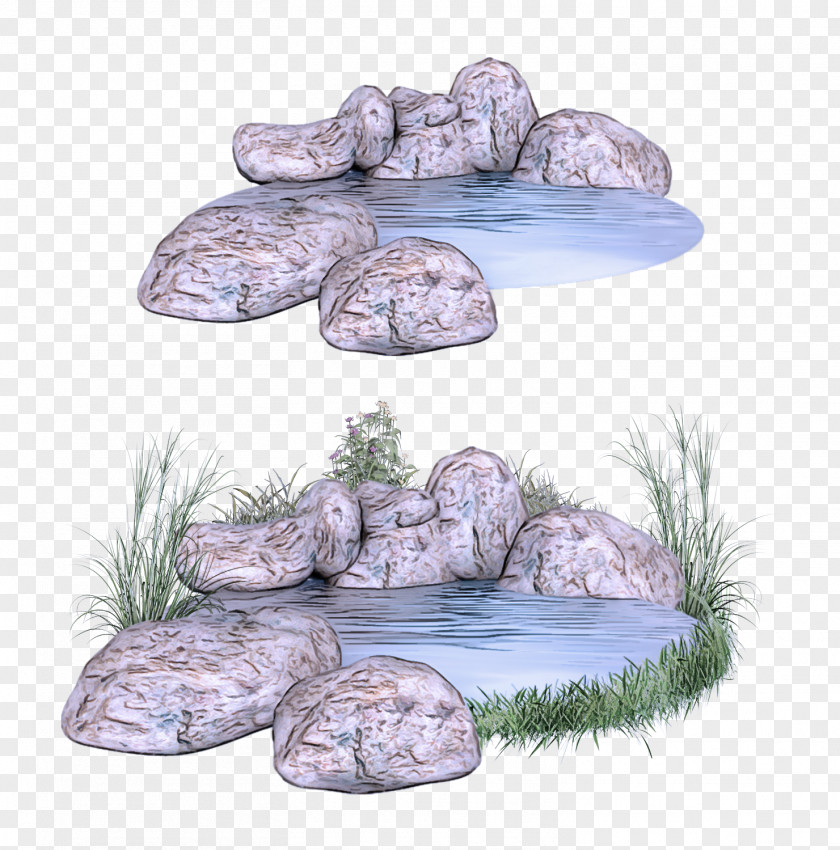 Plant Pond Rock PNG