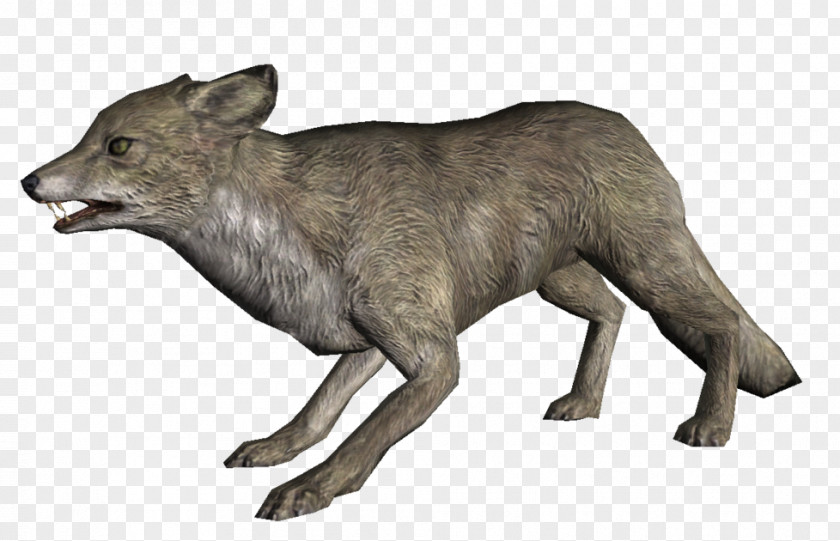 Statue Animal Figure Arctic Fox Wolf The Elder Scrolls: Legends Video Games PNG