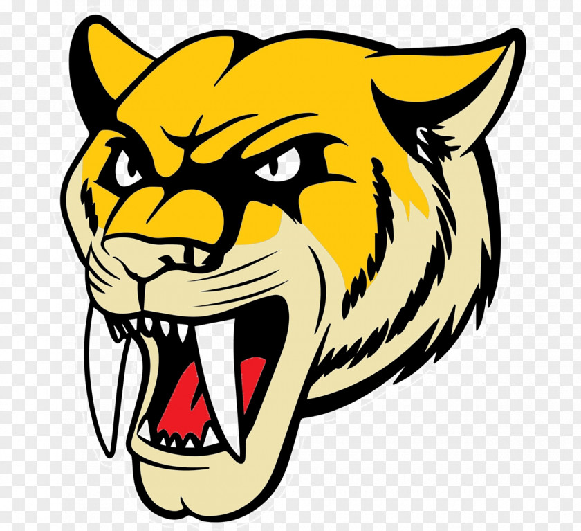 Tiger Sierra Elementary School Saber-toothed Cat PNG
