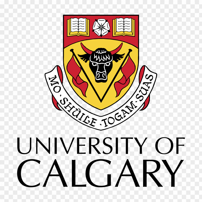 University Of Tennessee Chattanooga Calgary Cumming School Medicine Education Teacher PNG