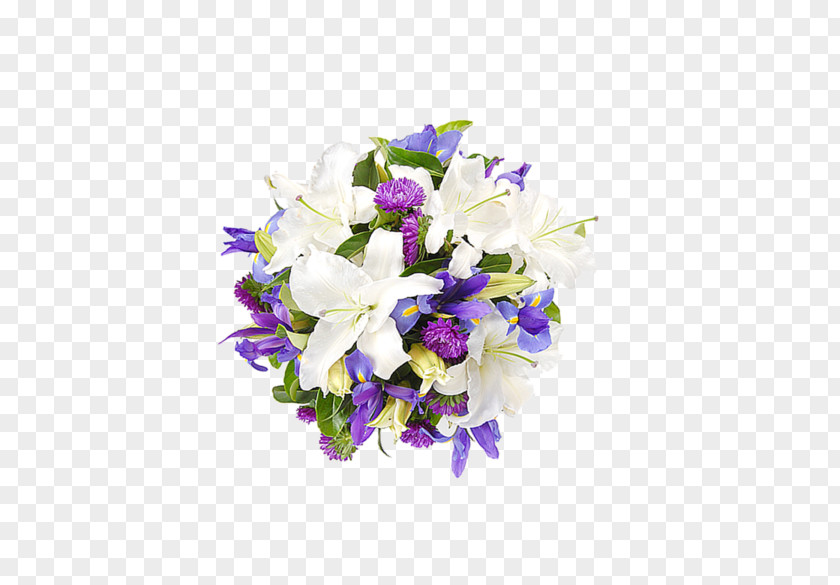 Variety Clipart Flower White Lilium Candidum PNG