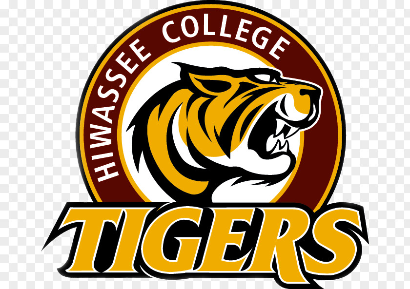 Basketball Hiwassee College Tigers Men's Montreat Grace And Theological Seminary PNG