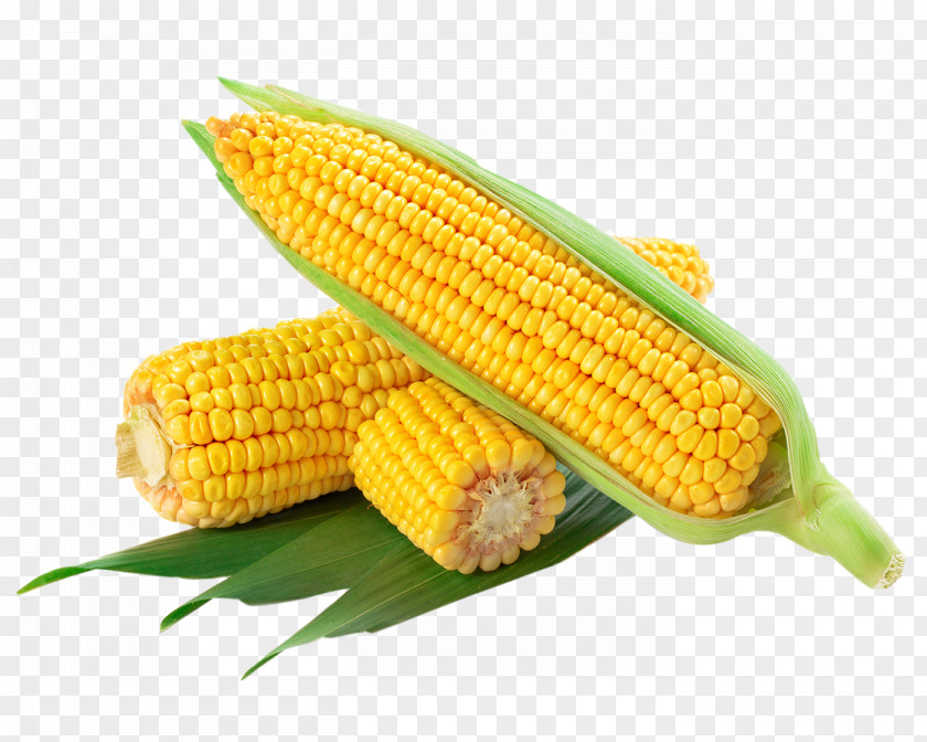 Corn Waxy On The Cob Flint Flakes Sweet PNG