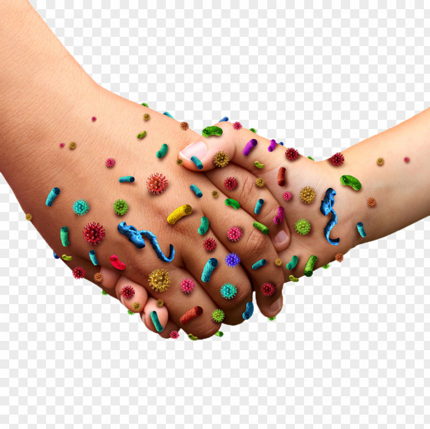 Hands Of The Bacteria PNG of the bacteria clipart PNG