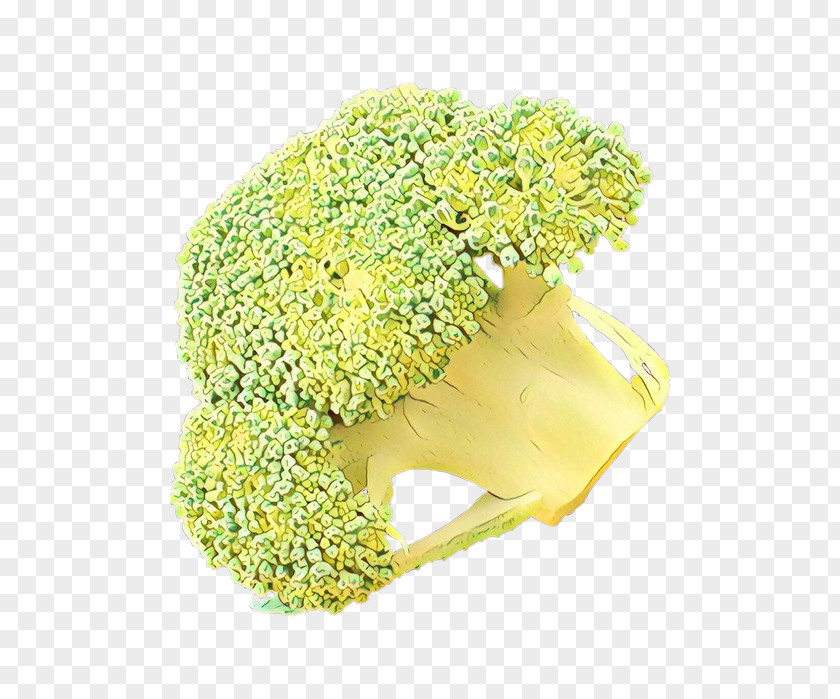 Hydrangea Cruciferous Vegetables Yellow Cut Flowers Flower Plant Headgear PNG