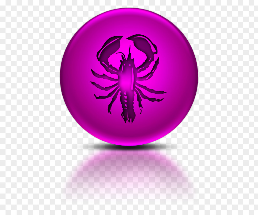 Lobster Icon Hd Digital Marketing Business Search Engine Optimization Industry PNG
