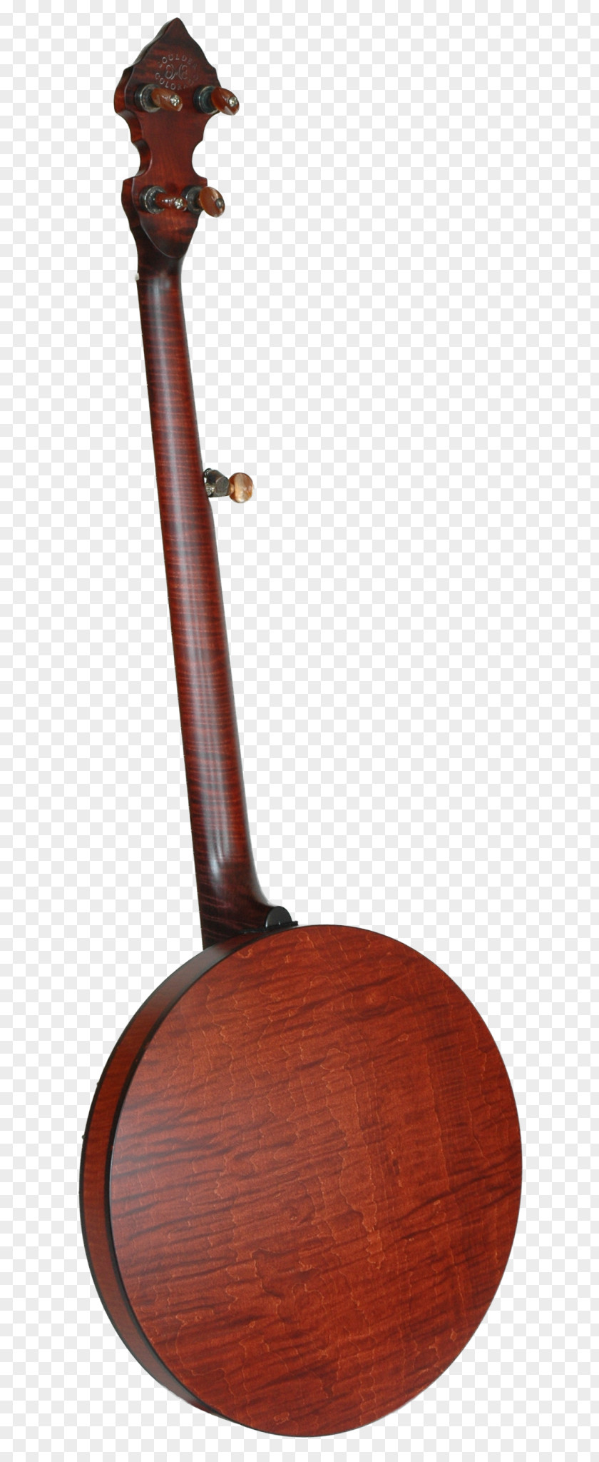 Musical Instruments Banjo Tanbur String PNG