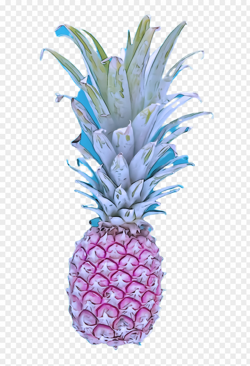 Poales Food Pineapple PNG