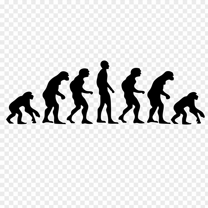Ray Donovan Logo Poster Neanderthal Human Evolution Primate PNG