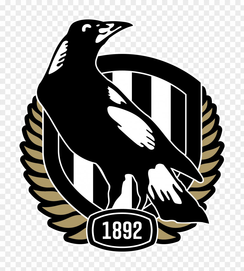 Collingwood Football Club Australian League Melbourne Cricket Ground Northern Blues PNG