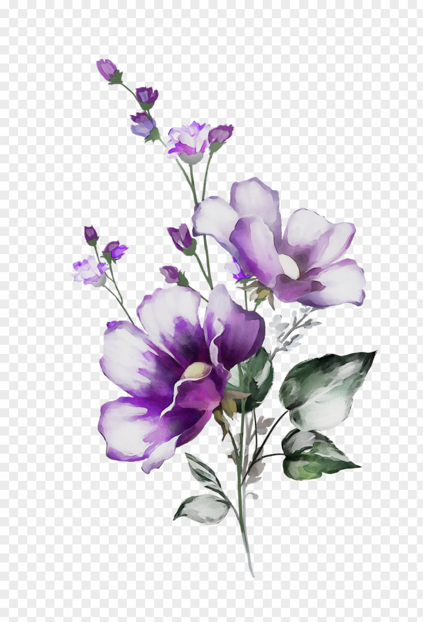 Floral Design PNG