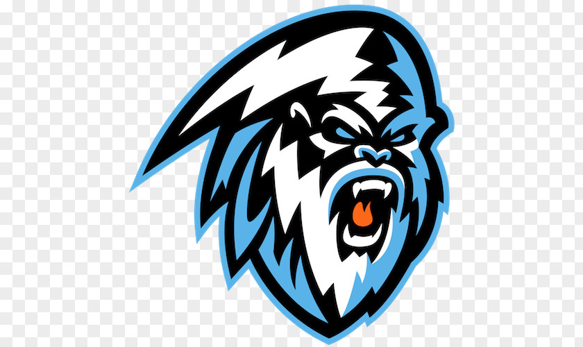 Kootenay Ice Cranbrook Western Hockey League Kootenays Kamloops Blazers PNG