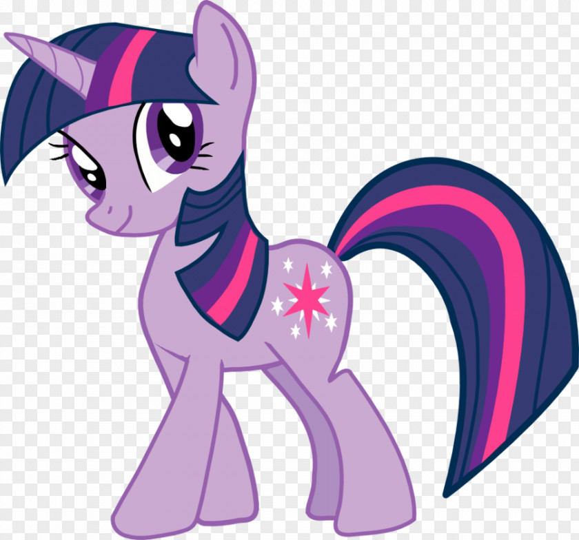 Mlp Flash And Twilight Sparkle Pony Pinkie Pie Rarity Applejack PNG