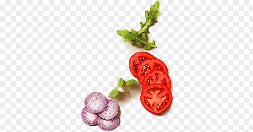 Onion Tomato Vegetable Clip Art PNG