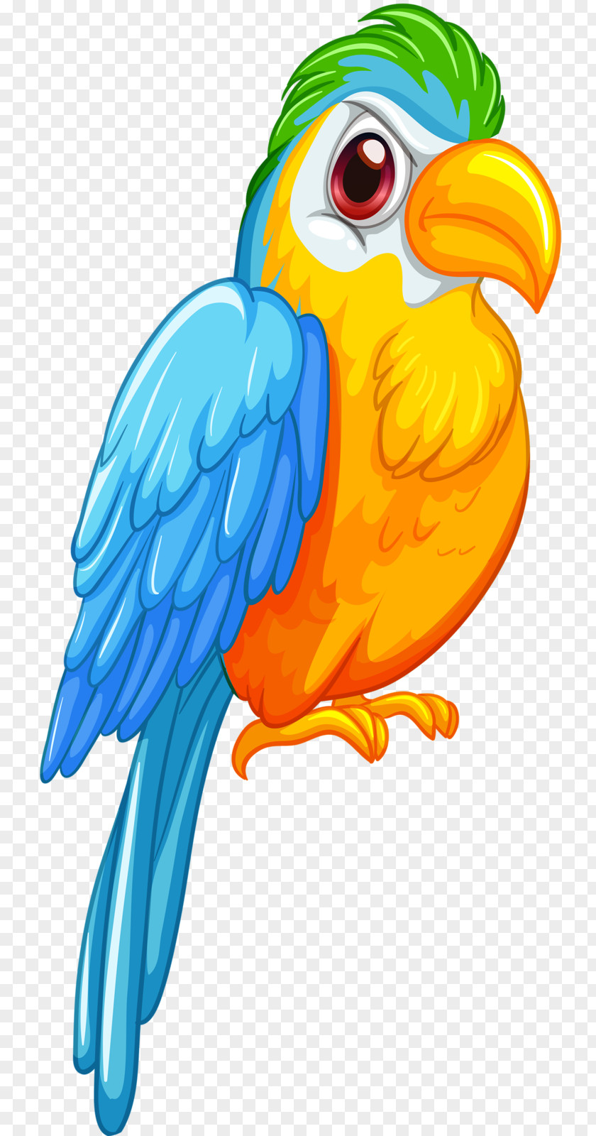 Parrot Amazon Bird Vector Graphics Royalty-free PNG