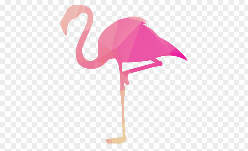 Pink Flamingo PNG