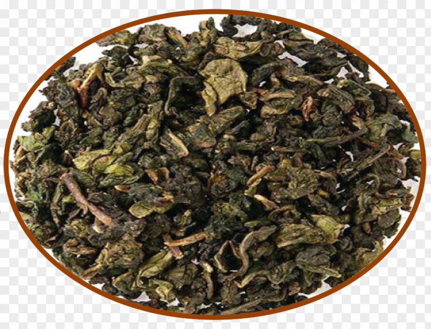 Tea Tieguanyin Oolong Nilgiri Green PNG