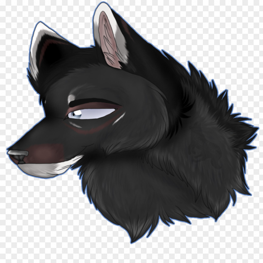 Dog Fur Whiskers Snout PNG