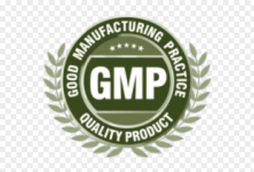 Gmp Good Manufacturing Practice Quality Certification PNG