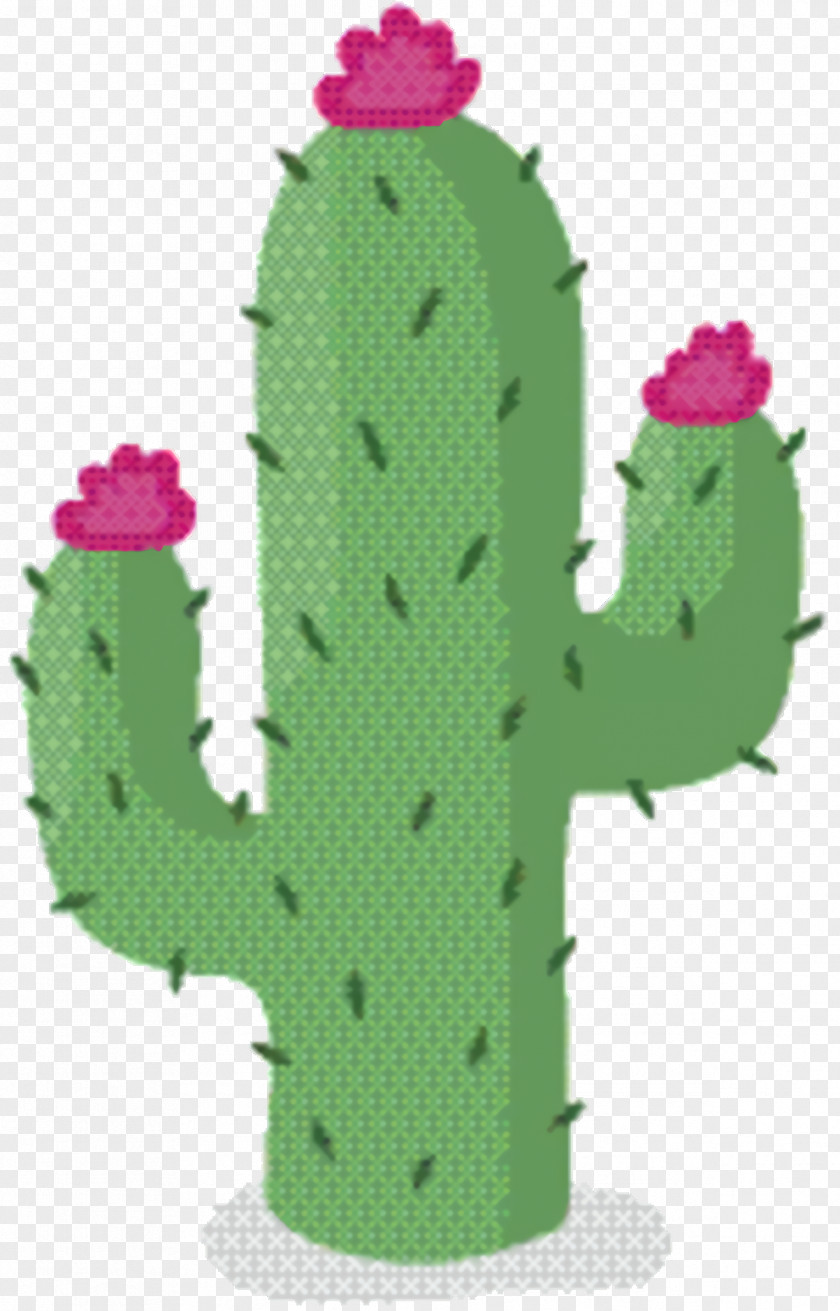 Hedgehog Cactus Saguaro Green Leaf Background PNG