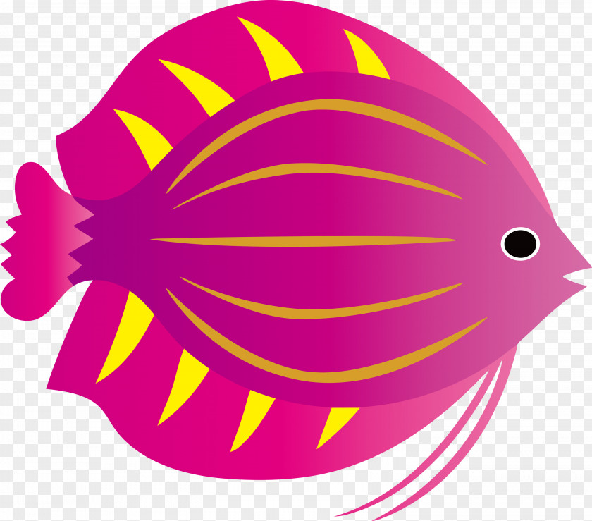 Line Fish Beak Geometry Biology PNG