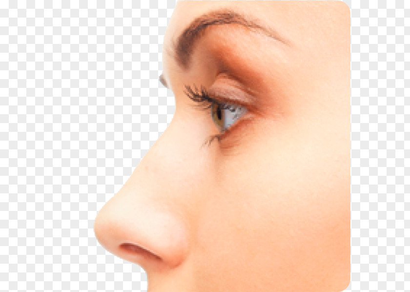 Nose Transparent Massage Face Skin Scalp PNG