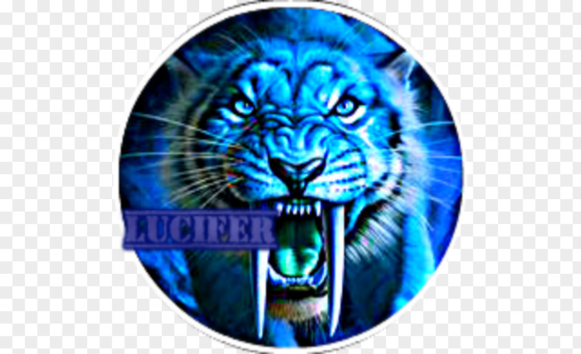 Tiger Saber-toothed Sabretooth Cat PNG