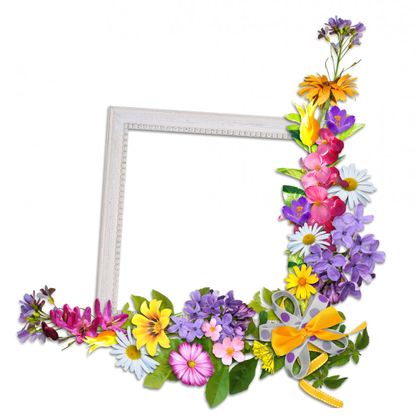 Art And Craft Picture Frames Digital Photo Frame Photography Clip PNG