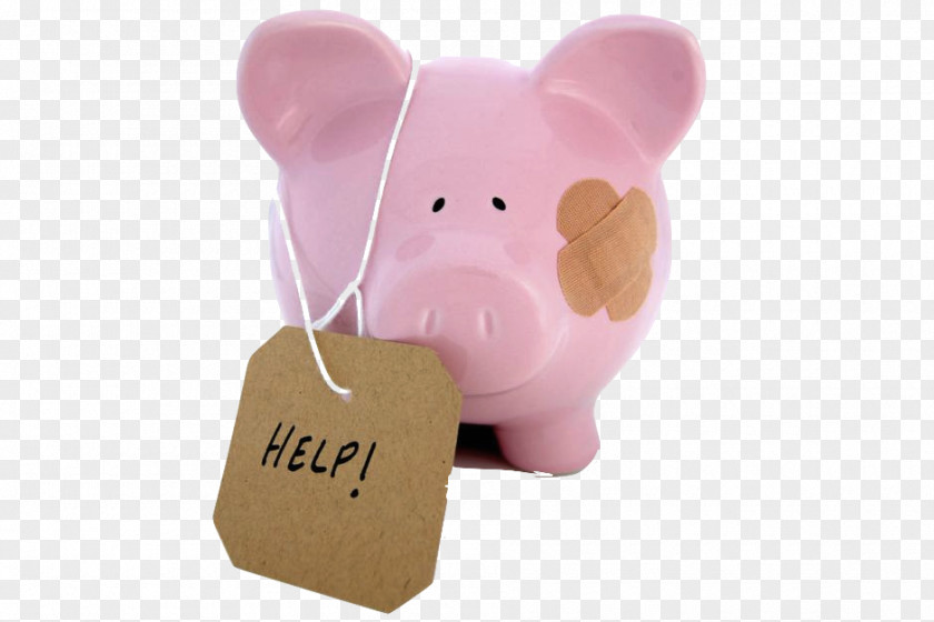 Bank Stuffed Animals & Cuddly Toys Pink M Snout PNG