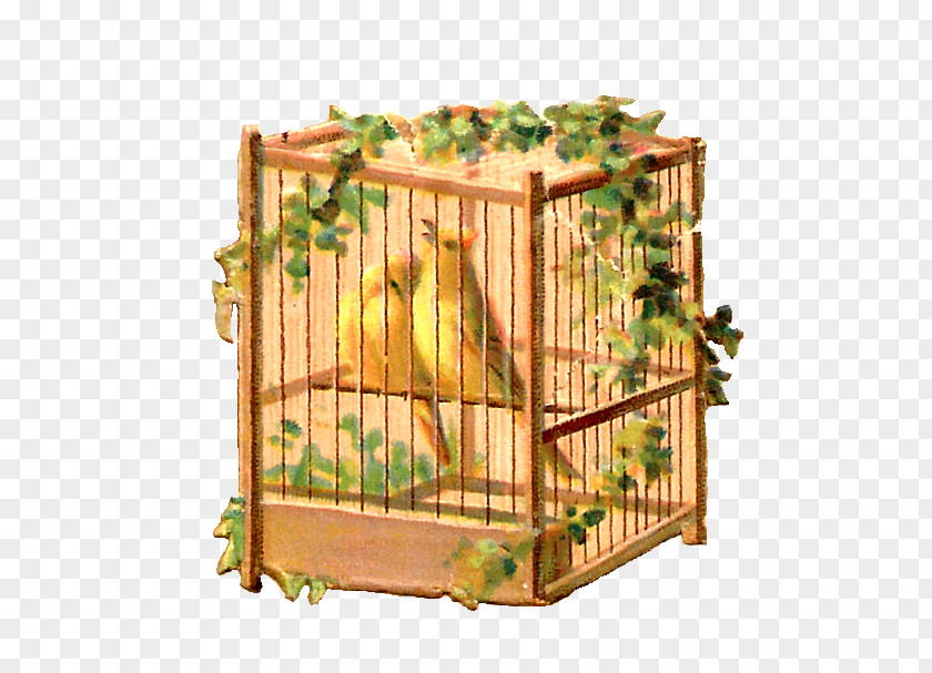 Bird Cage Birdcage Paper Clip Art PNG
