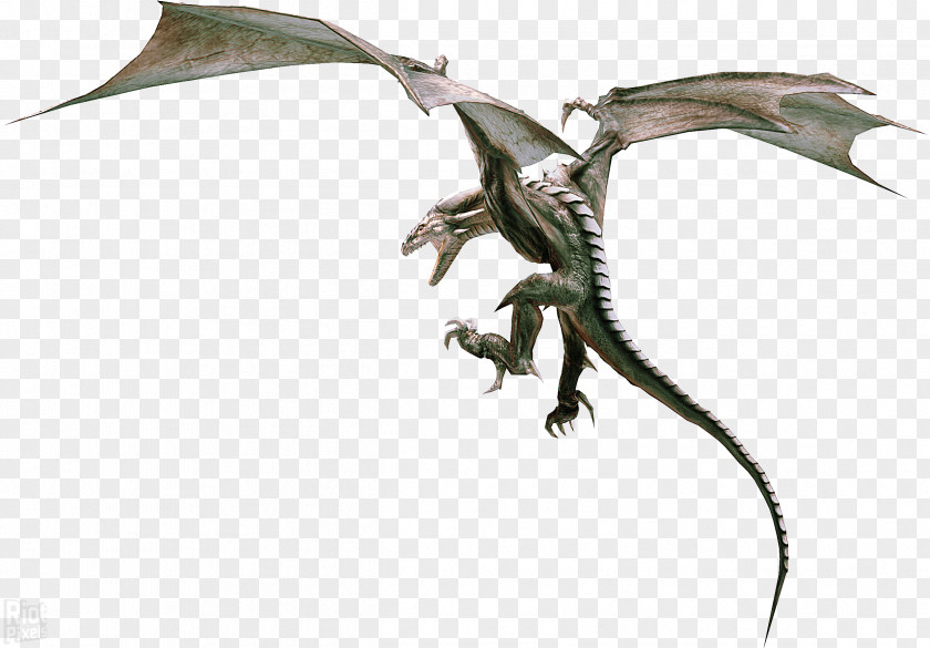 Chromatic Dragons Divinity II Divine Wyvern Dragon Age: Inquisition PNG