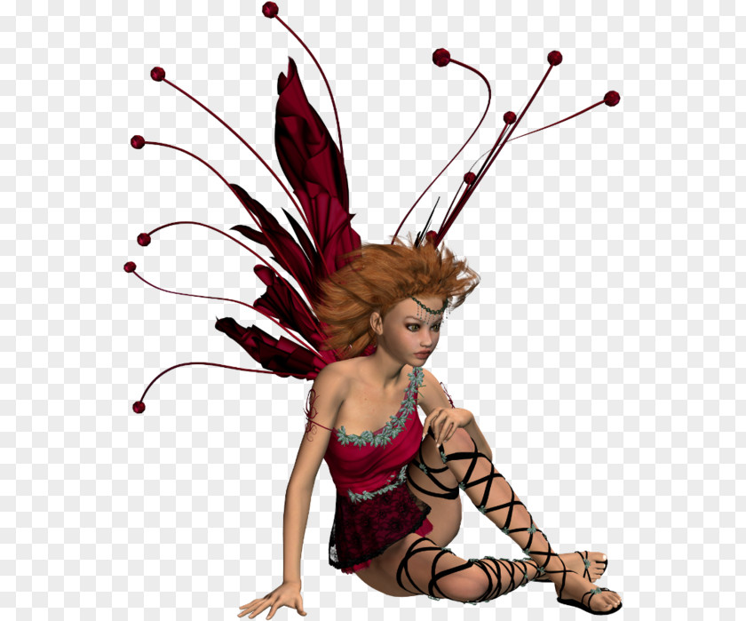 Insect Fairy PNG