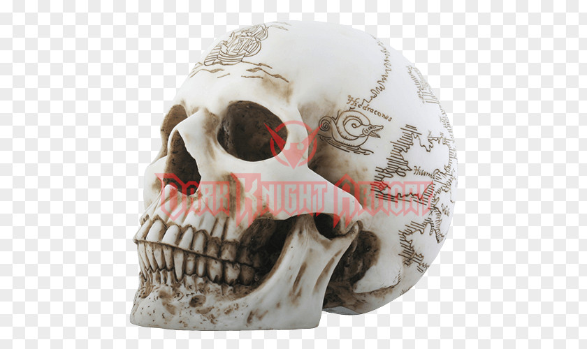 Map Treasure Skull Skeleton PNG