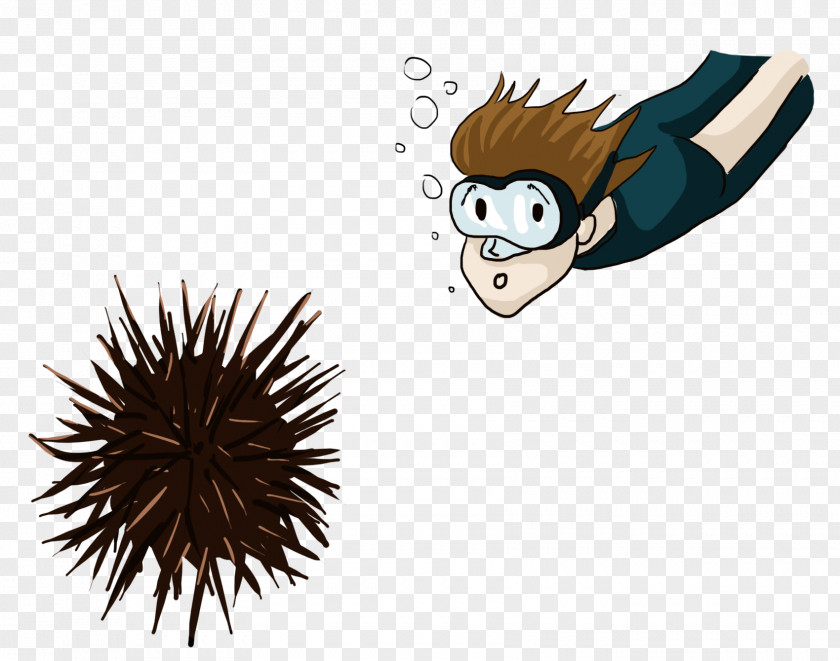 On The Training Of Shooters Knowledge Sea Urchin Drawing PNG