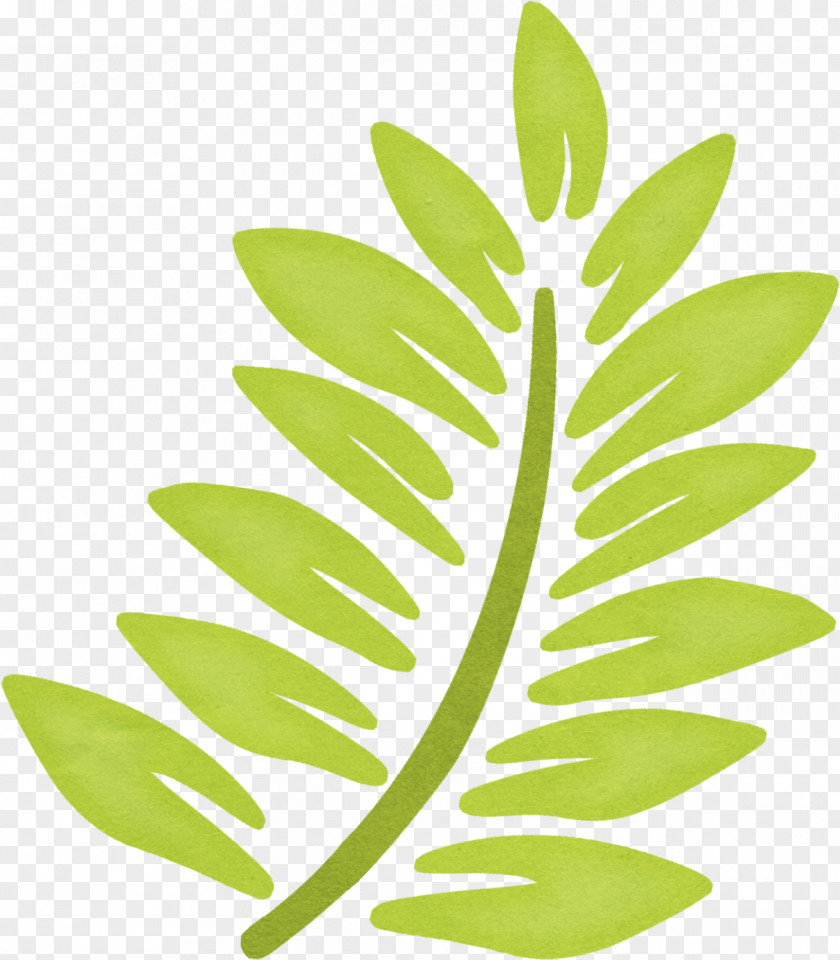 Banana Leaf Green Image Download PNG