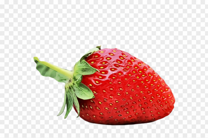 Berry Anthurium Strawberry PNG